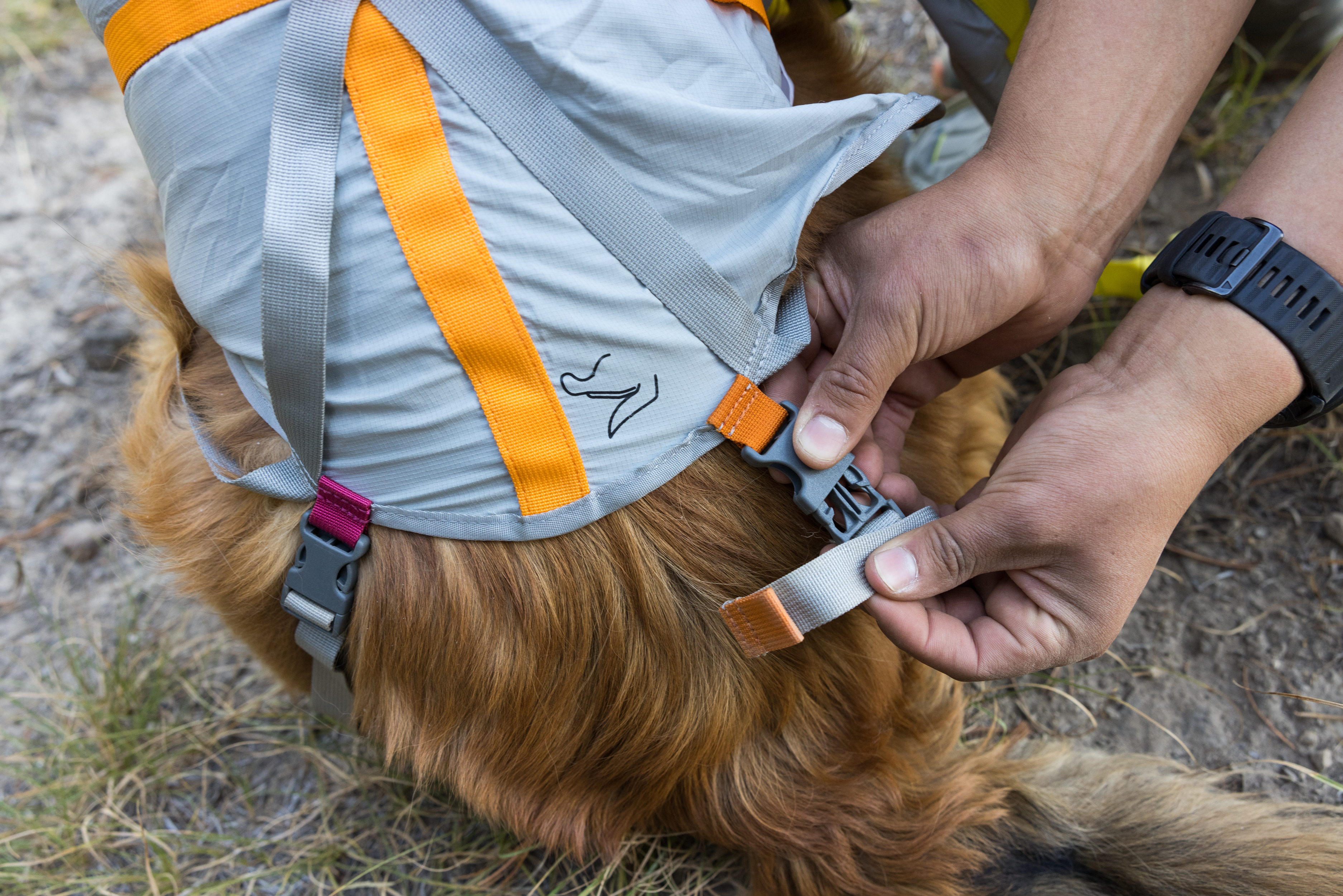 Ruffwear BackTrak™ Dog Evacuation Kit Cloudburst Gray