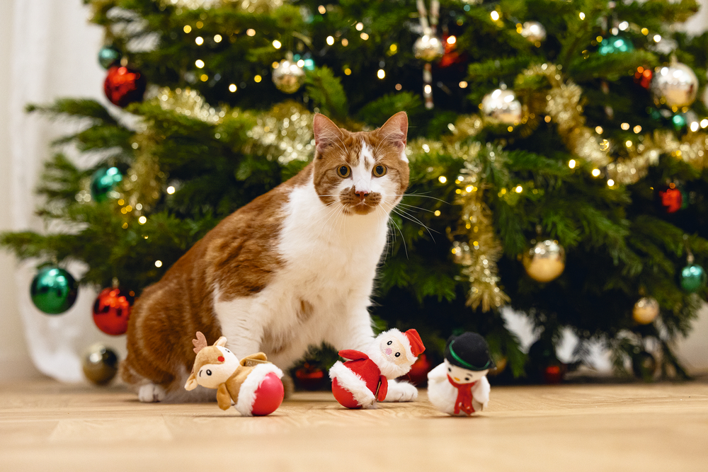 Beeztees Katzenspielzeug Xmas Wobbler 10cm