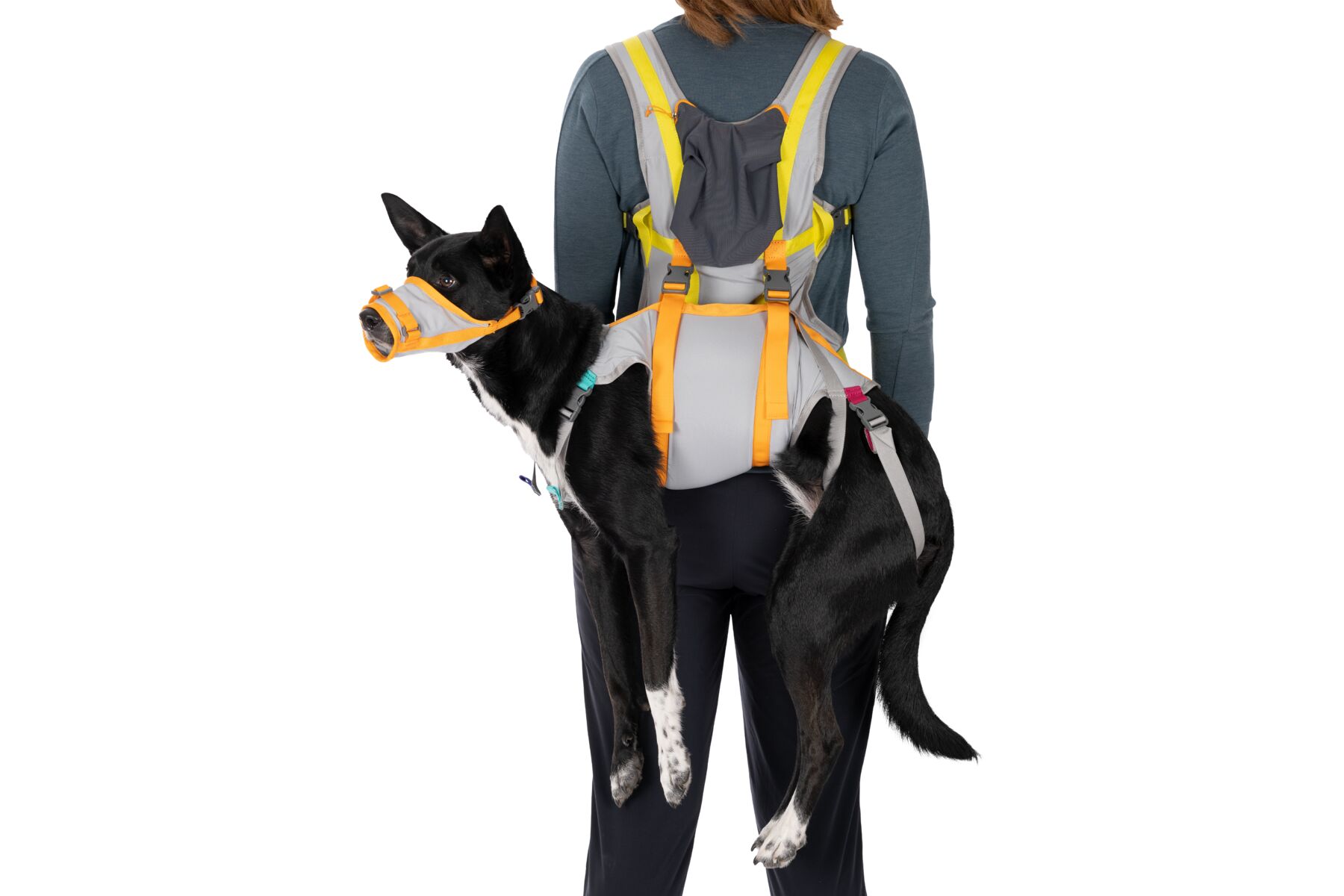 Ruffwear BackTrak™ Dog Evacuation Kit Cloudburst Gray