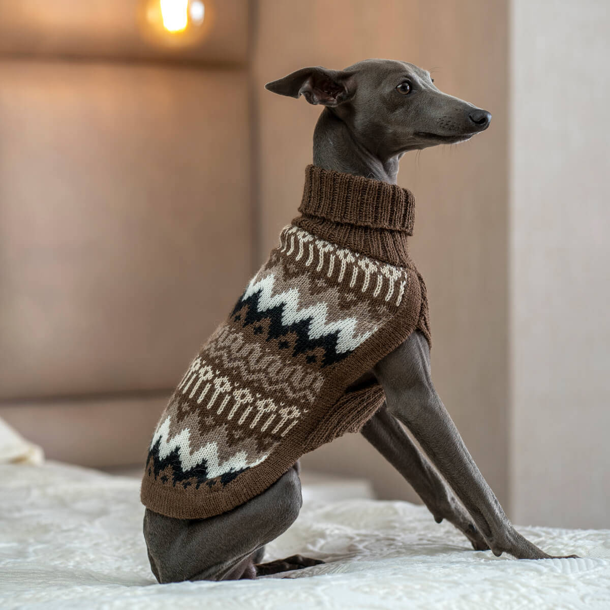 Alqo Wasi Hunde-Pullover Woolly Peaks