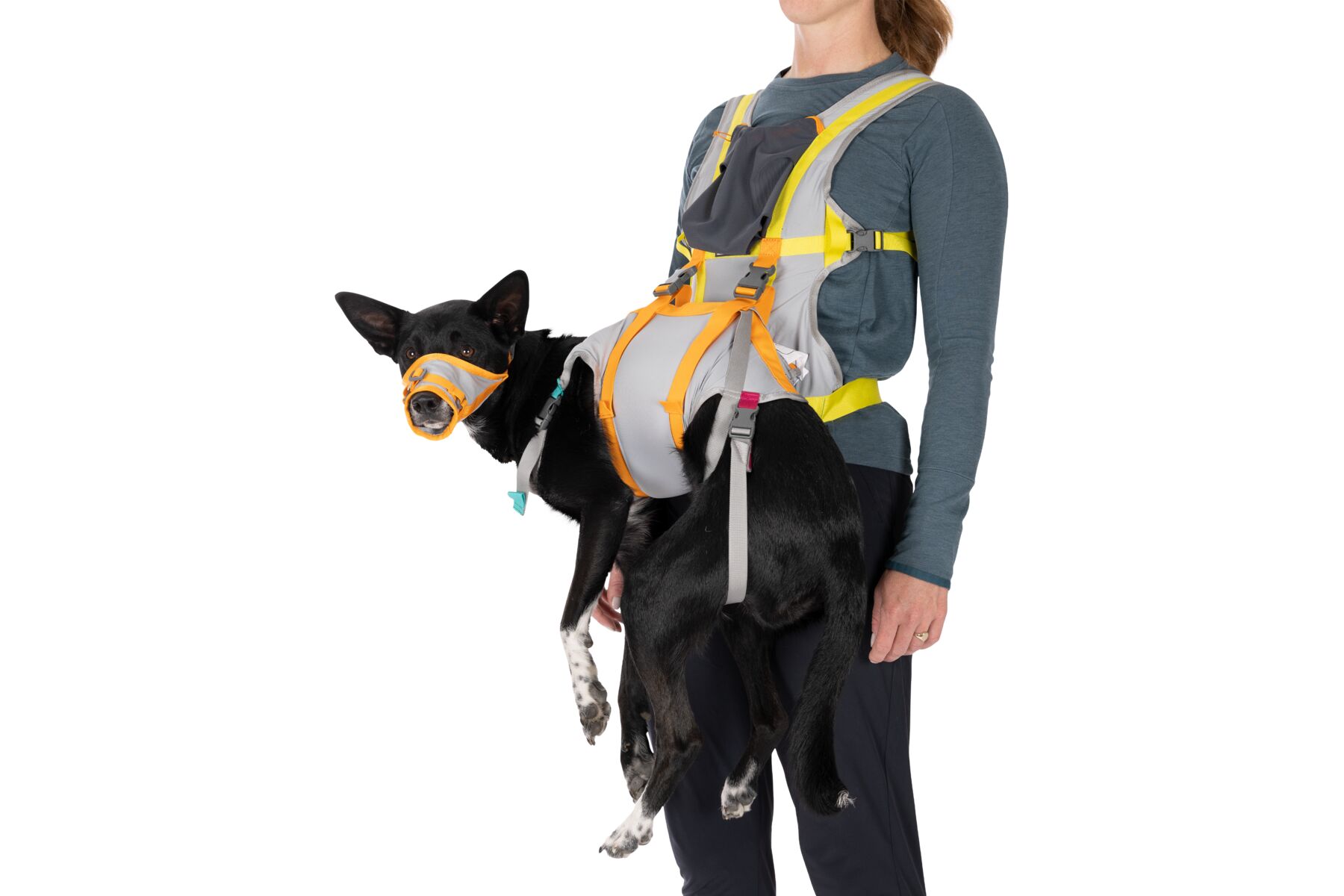 Ruffwear BackTrak™ Dog Evacuation Kit Cloudburst Gray