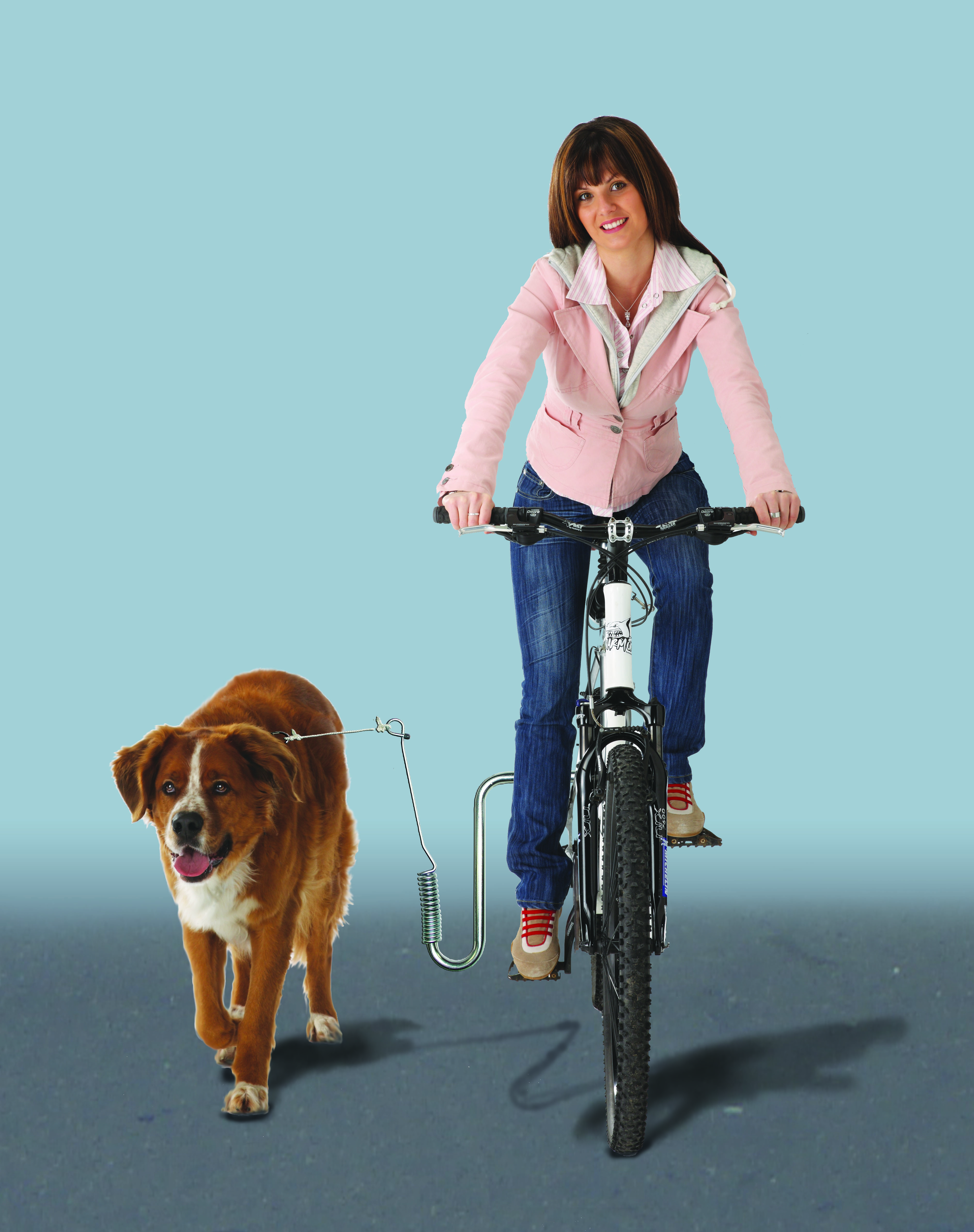 Kleinmetall DogRunner, Fahrradhalter für den Hund
